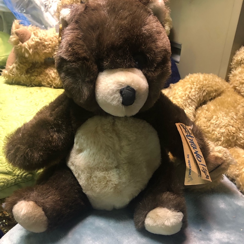 12 in brown bear.
